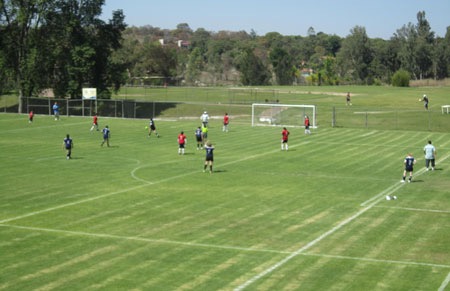 Danone World Cup Guadalajara Travel and Business