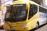 Travel and Business Autobus